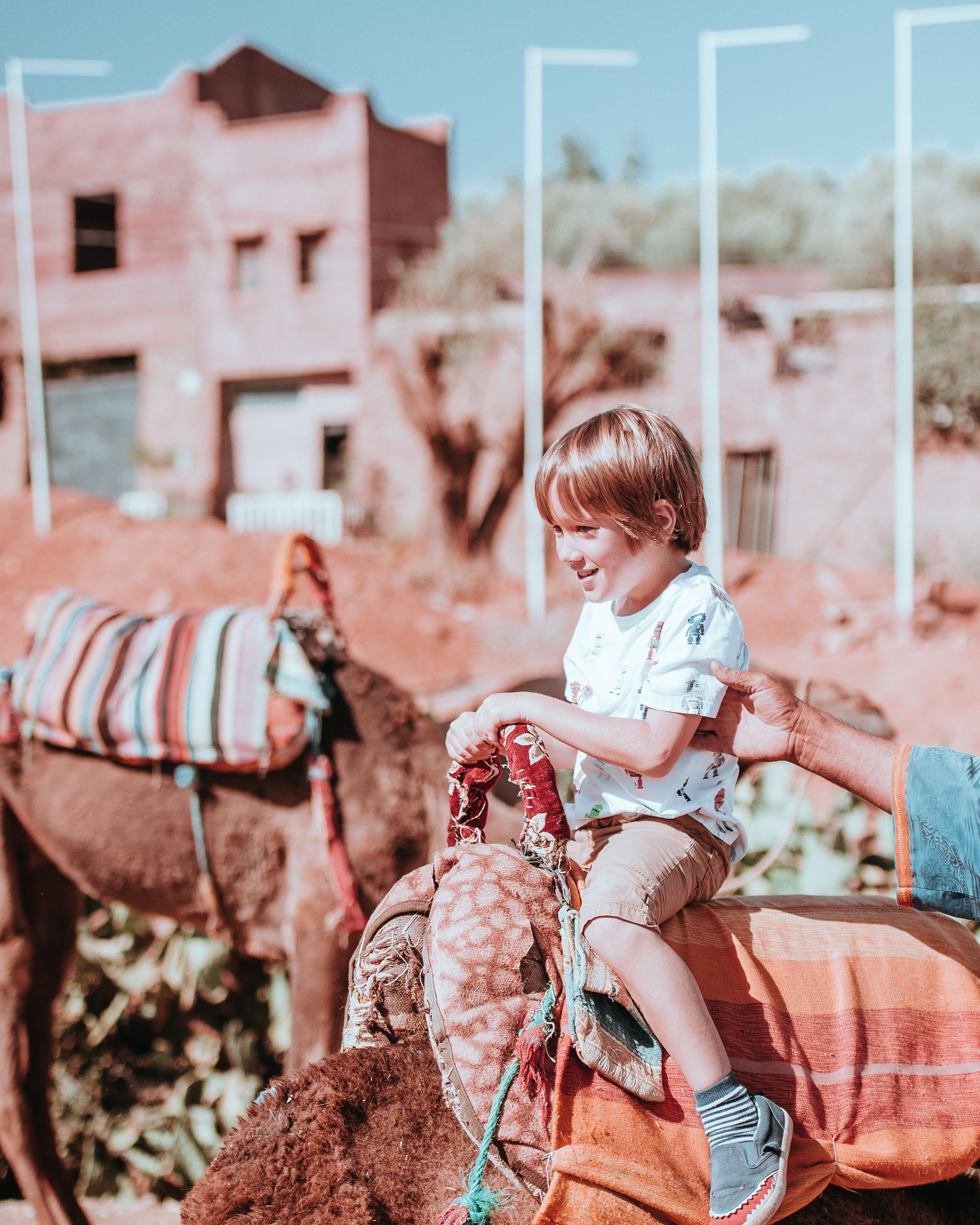 Balade à dos d'âne Amérique du sud