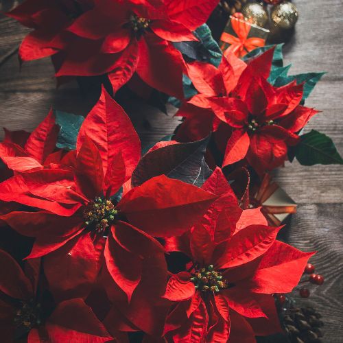 Calendrier de l'avent 2023 jour 10.png