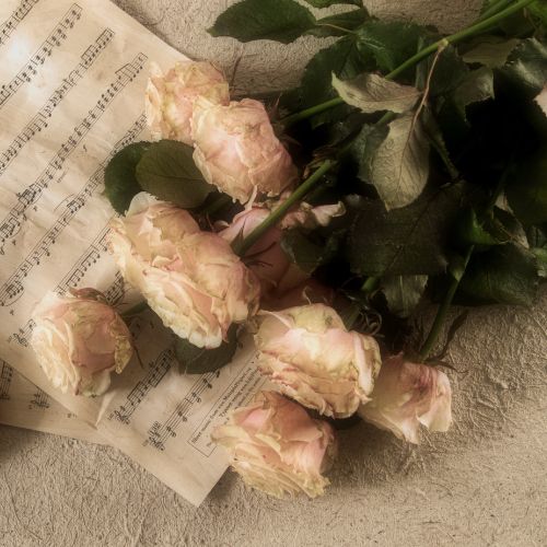 Calendrier de l'avent 2023 jour 15.png