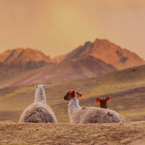 Calendrier de l'avent 2023 jour 20.png