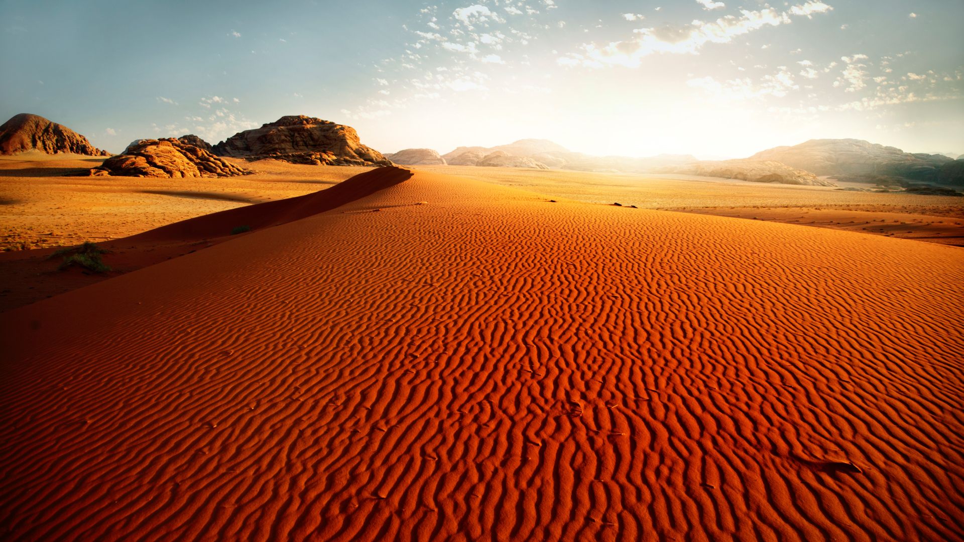 Voyages culturels au Proche et Moyen-Orient