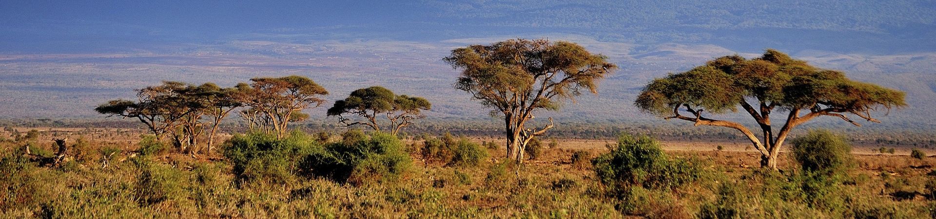 Tanzanie