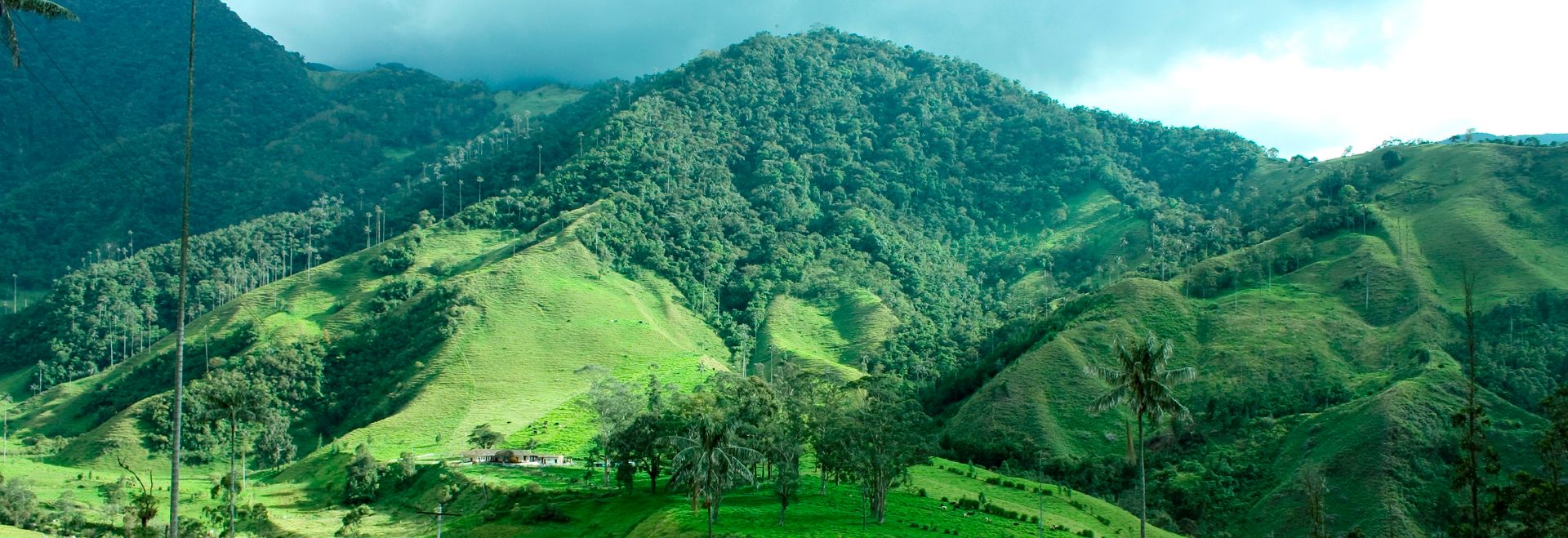 Colombie