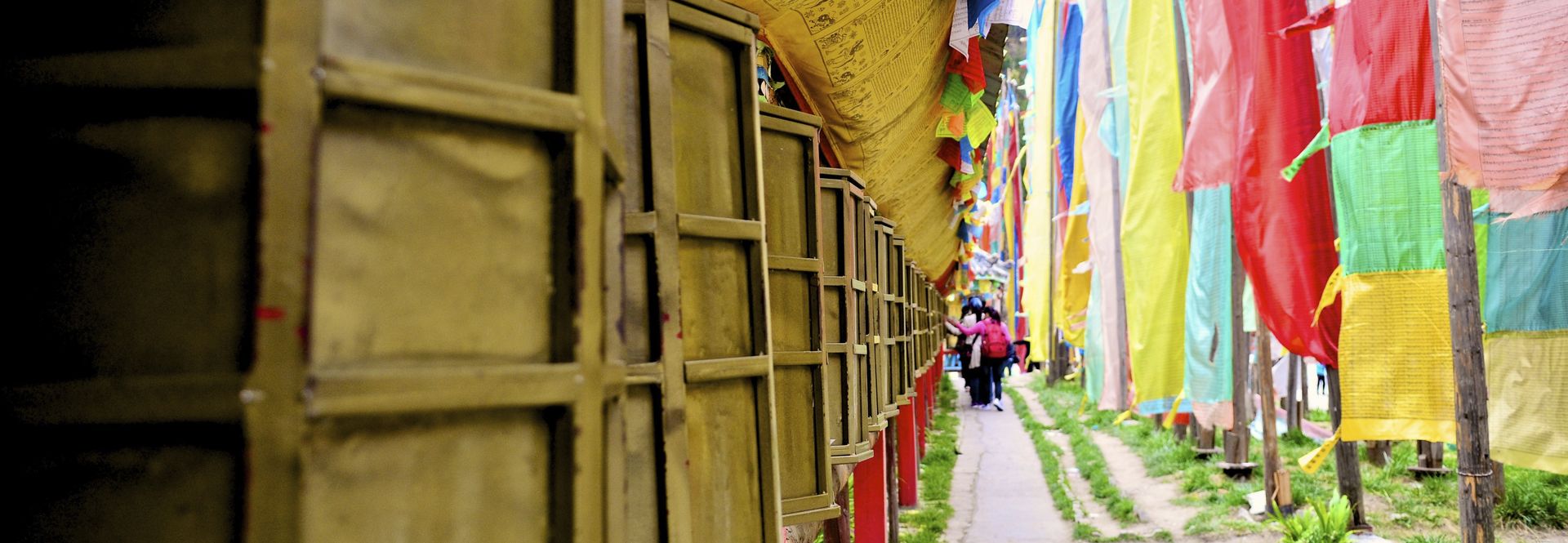 Tibet