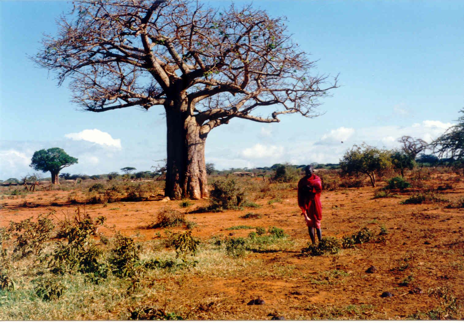 massai-tanzanie-willy-horsch.jpg