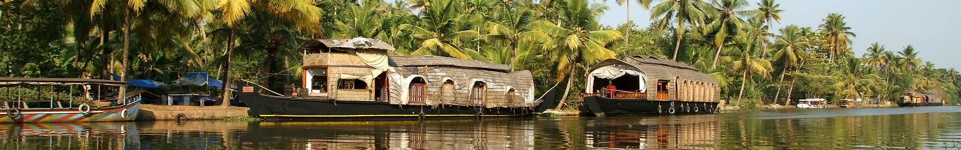 house-boat-in-the-kerala-india-backwaters-inde-thinkstockphotos-jpg.jpg