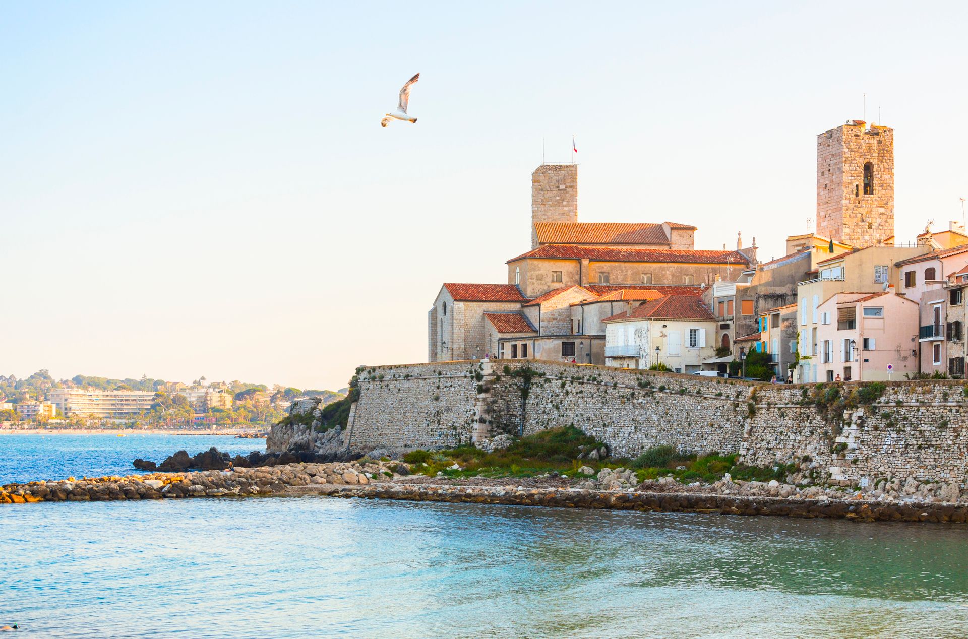 antibes, chateau grimaldi(c)istock-spooh-171324954.jpg
