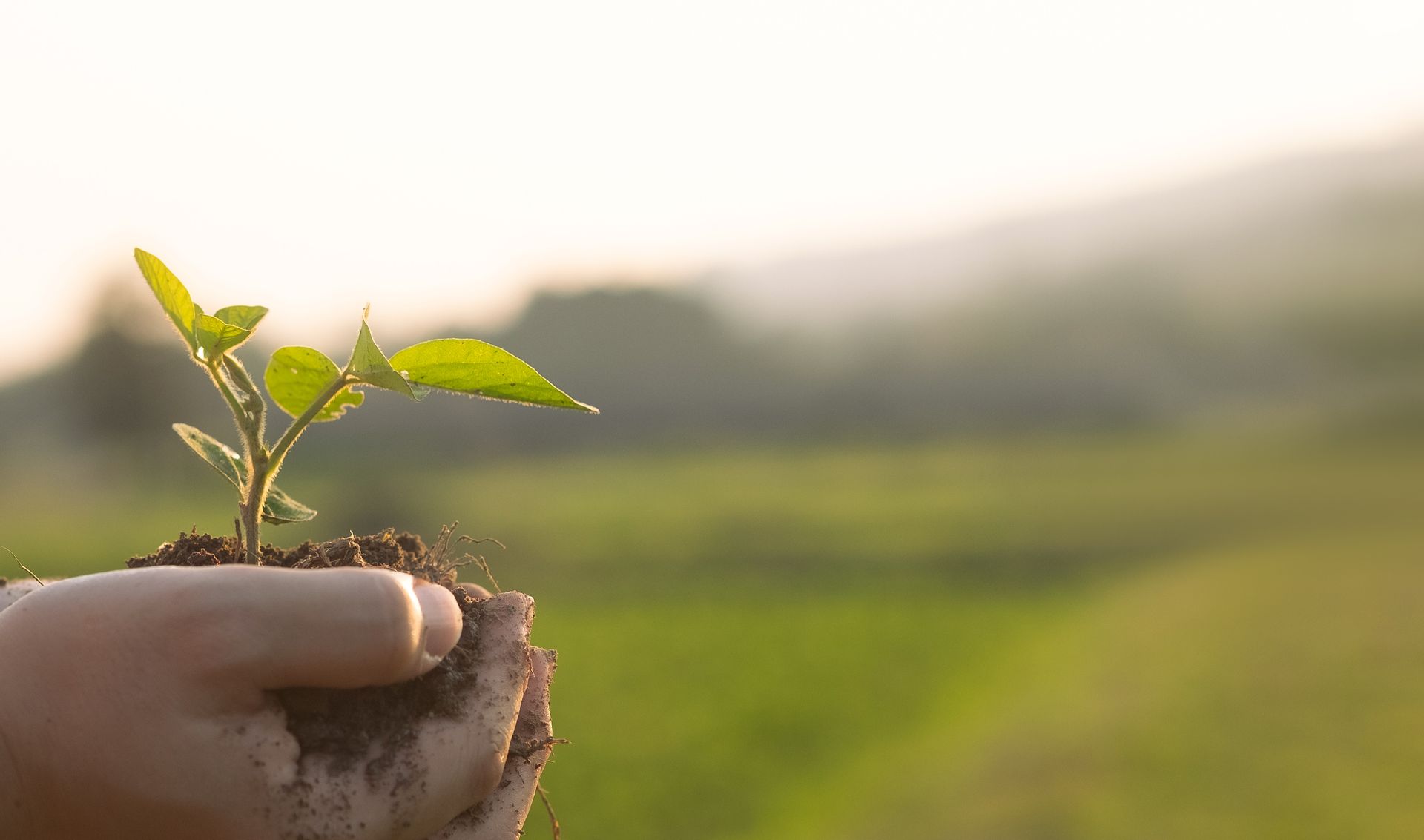 Bannière - Les 5 plus beaux jardins du monde