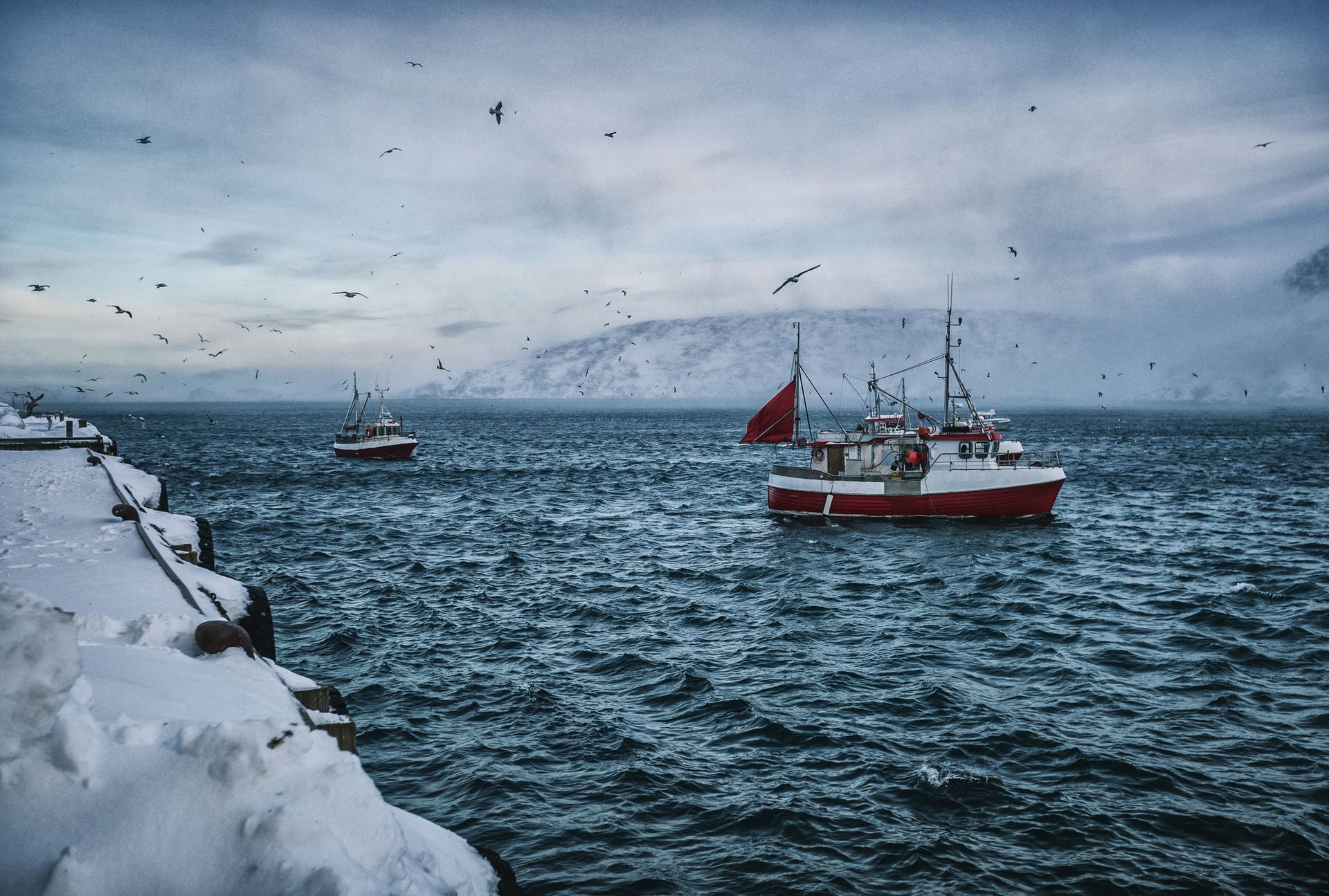 Bateaux de pêche pour la morue
