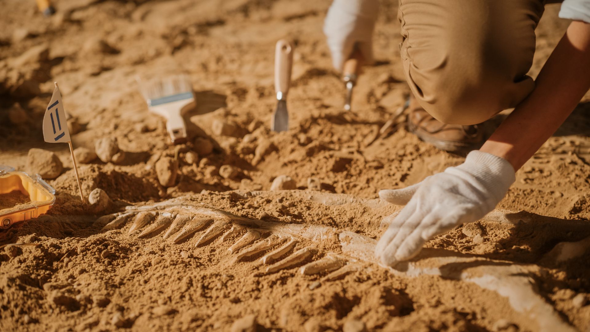 archeologie.jpg