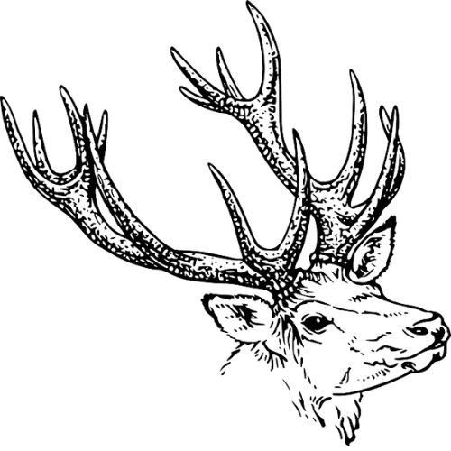 Conte le Pudding de Noël