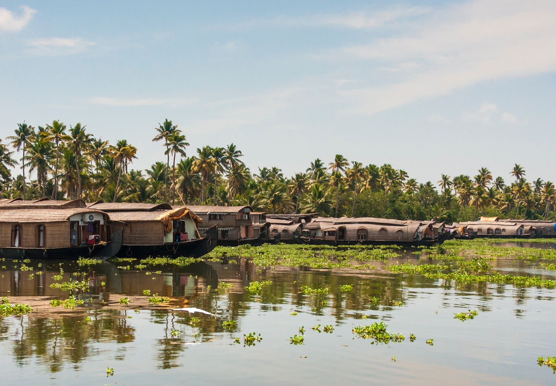 Tempo, rythme modéré