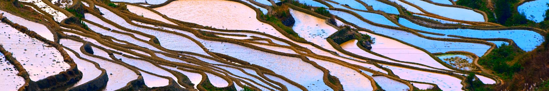 Yuanyang, Yunnan - Chine ©iStock