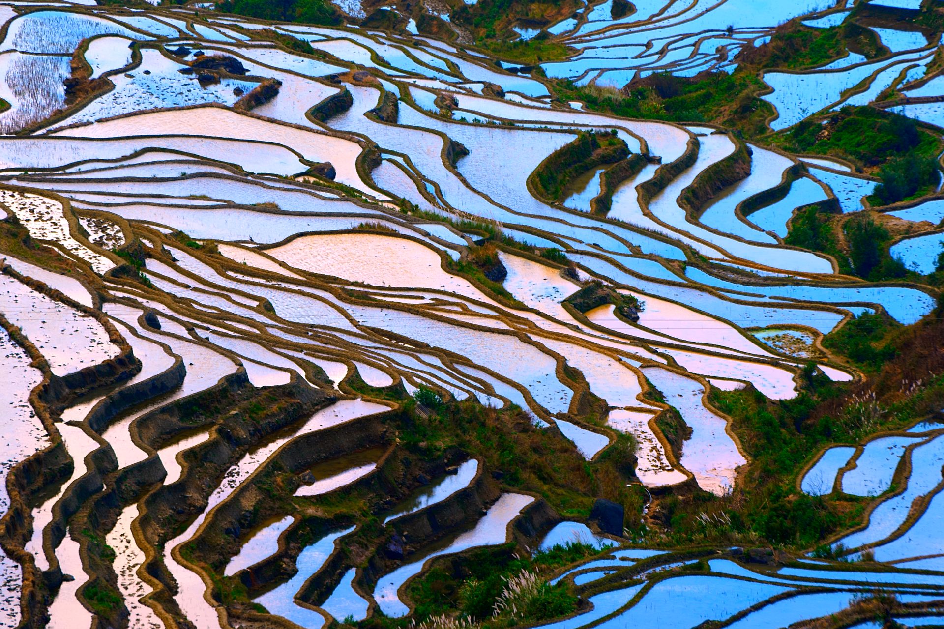 Yuanyang, Yunnan - Chine ©iStock
