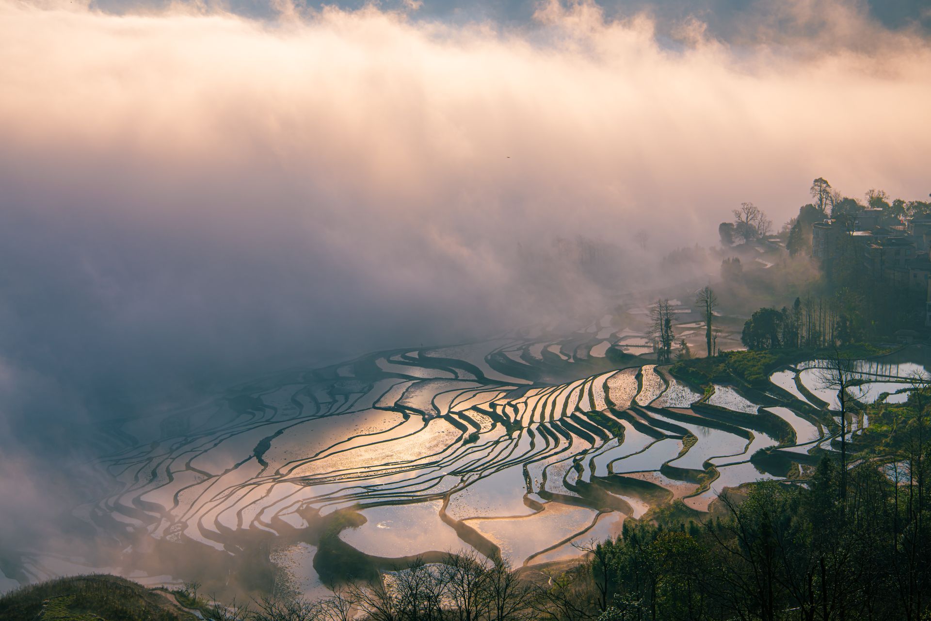 Rizières de Yuanyang