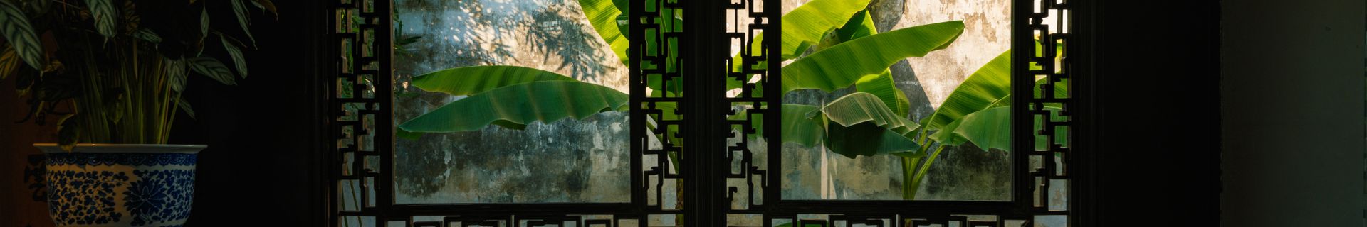 Jardin Wangshi Yuan, à Suzhou