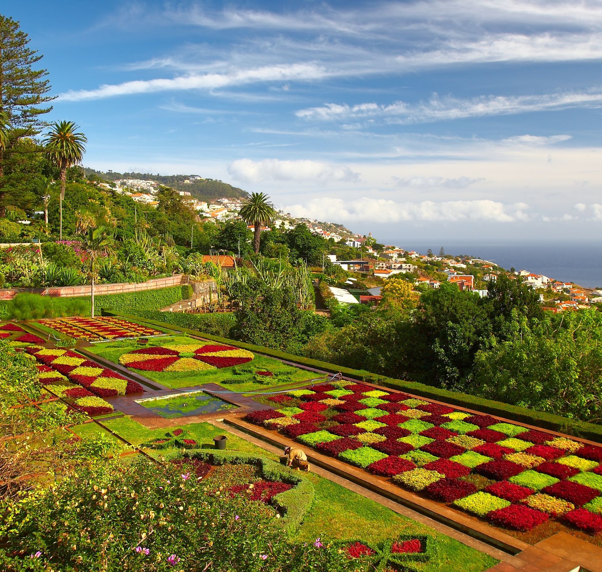 Jardin botanique de Funchal, Madère - Portugal ©iStock