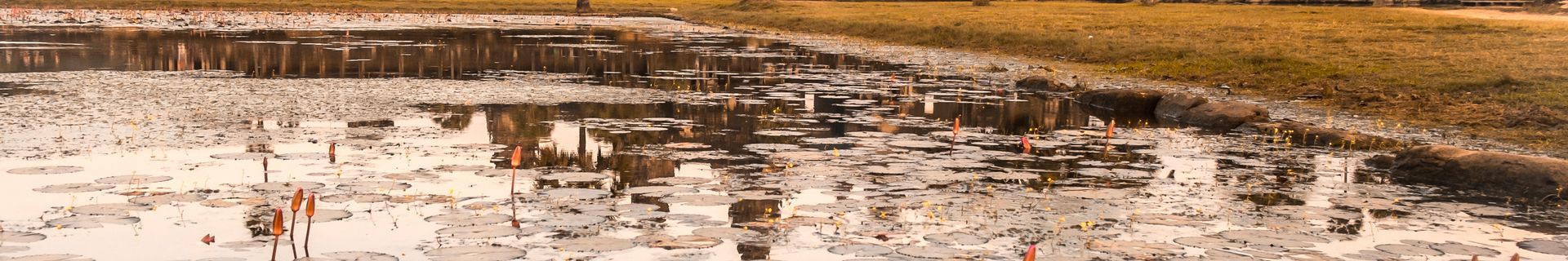 Angkor - Cambodge ©iStock