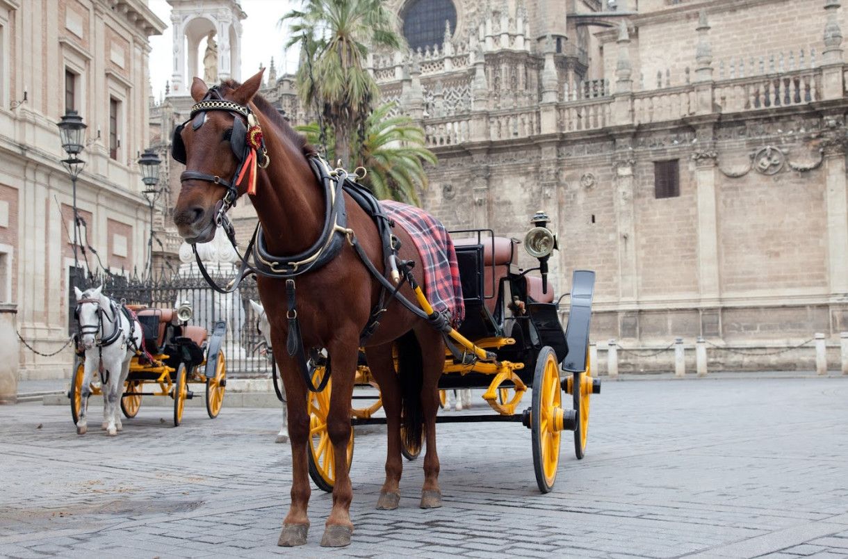 Calèches devant la cathédrale, Séville - Espagne ©Intermèdes Voyages