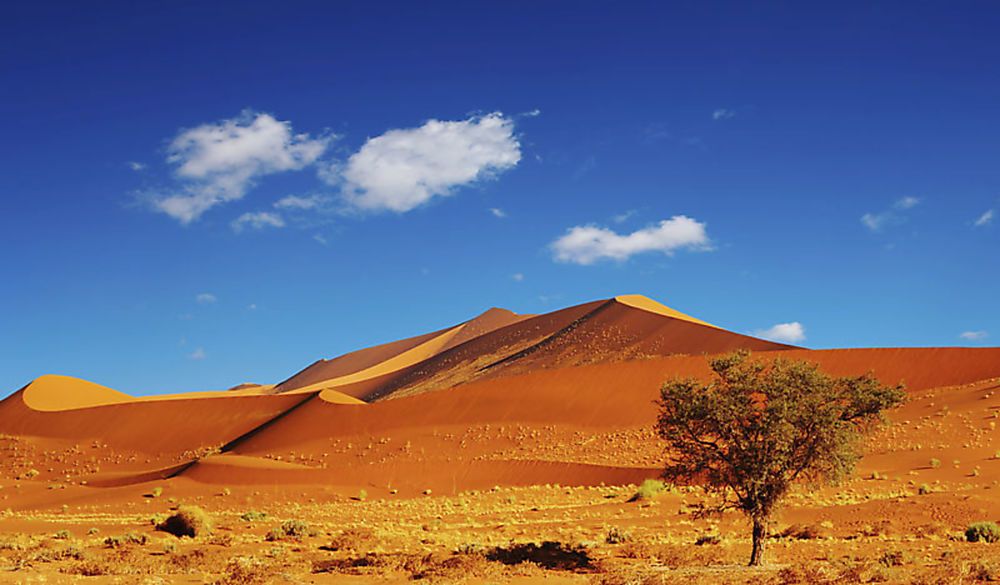 Desert - Namibie ©Thinkstock