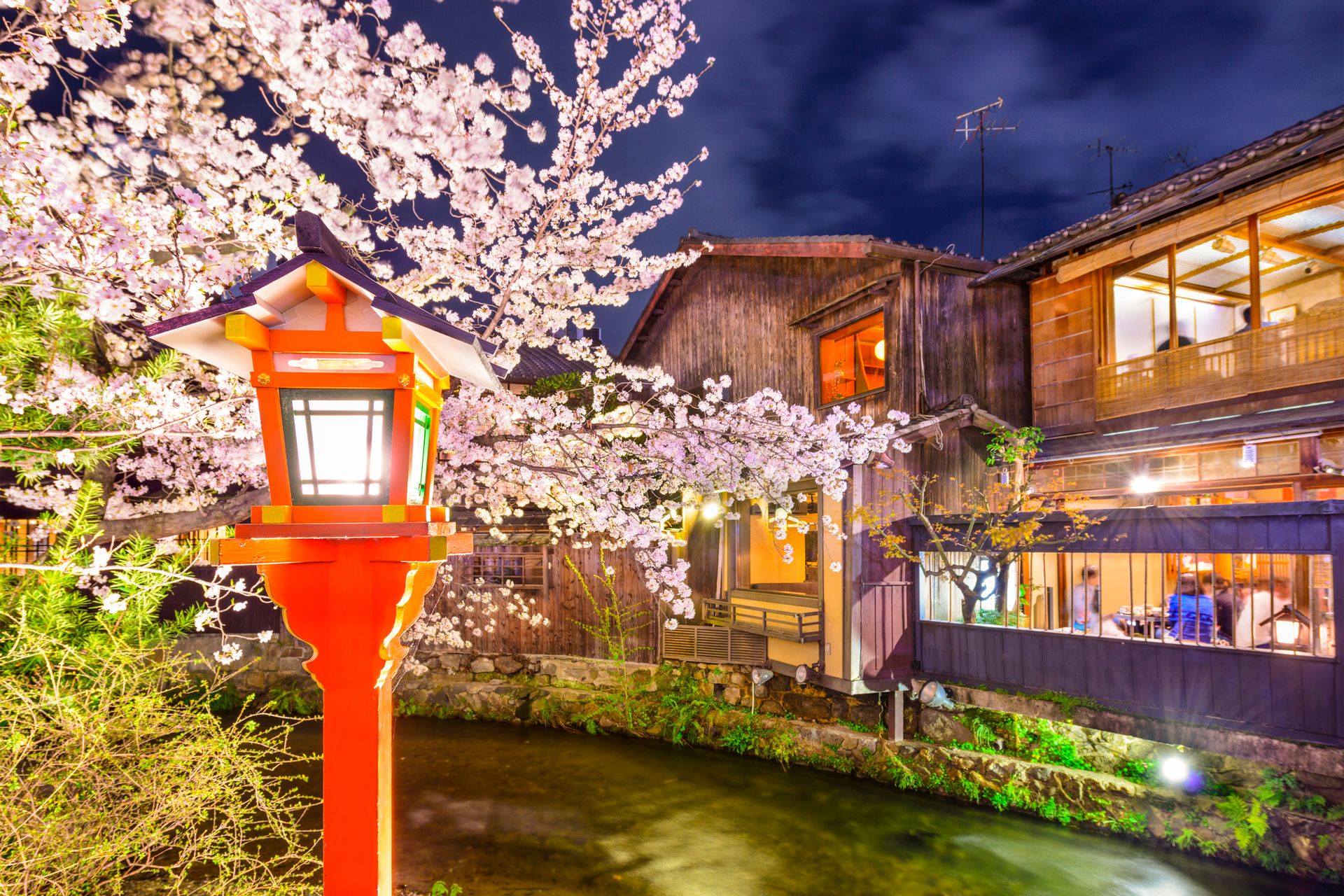 Kyoto au printemps à la tombée de la nuit