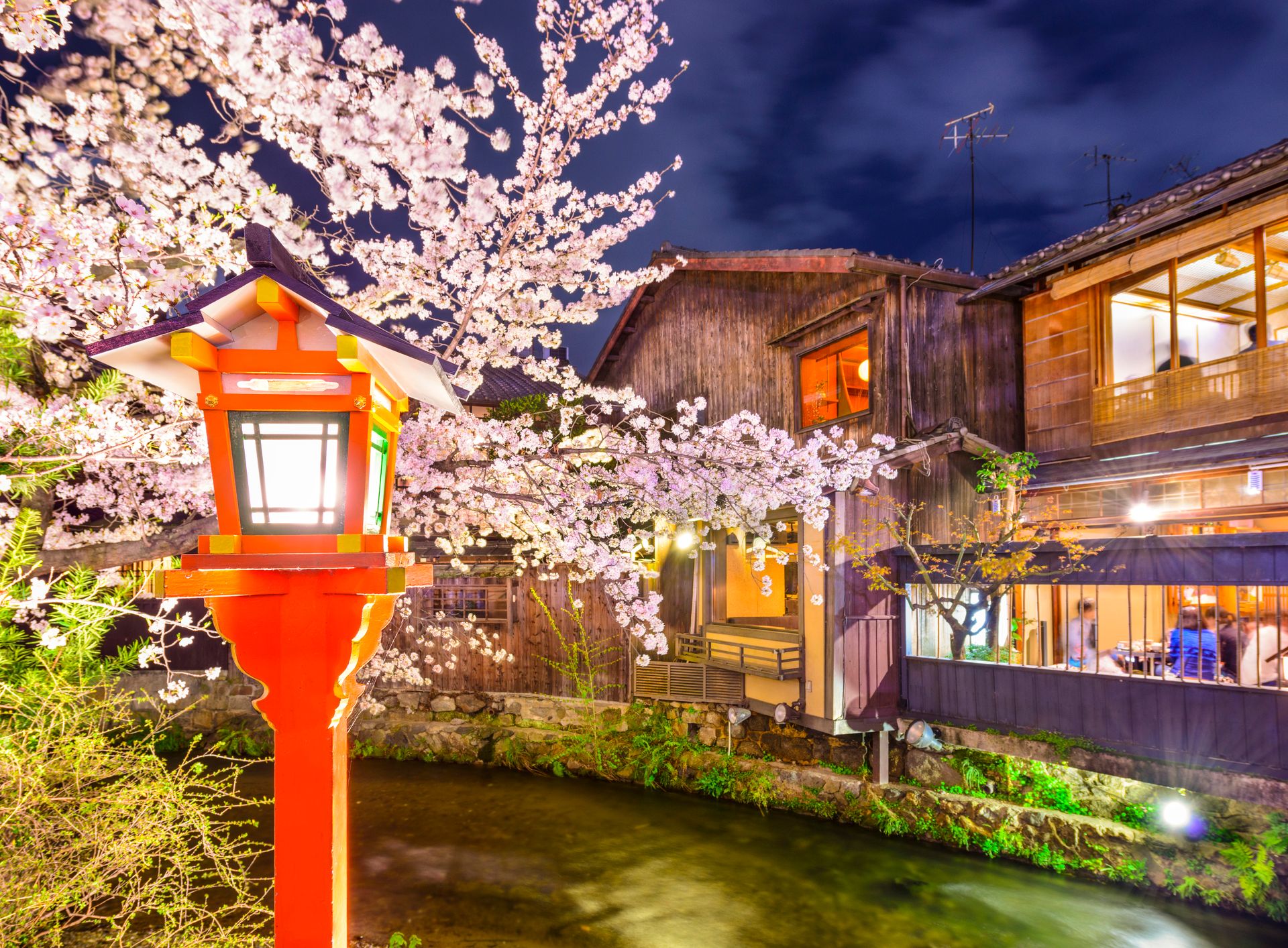 Kyoto au printemps à la tombée de la nuit