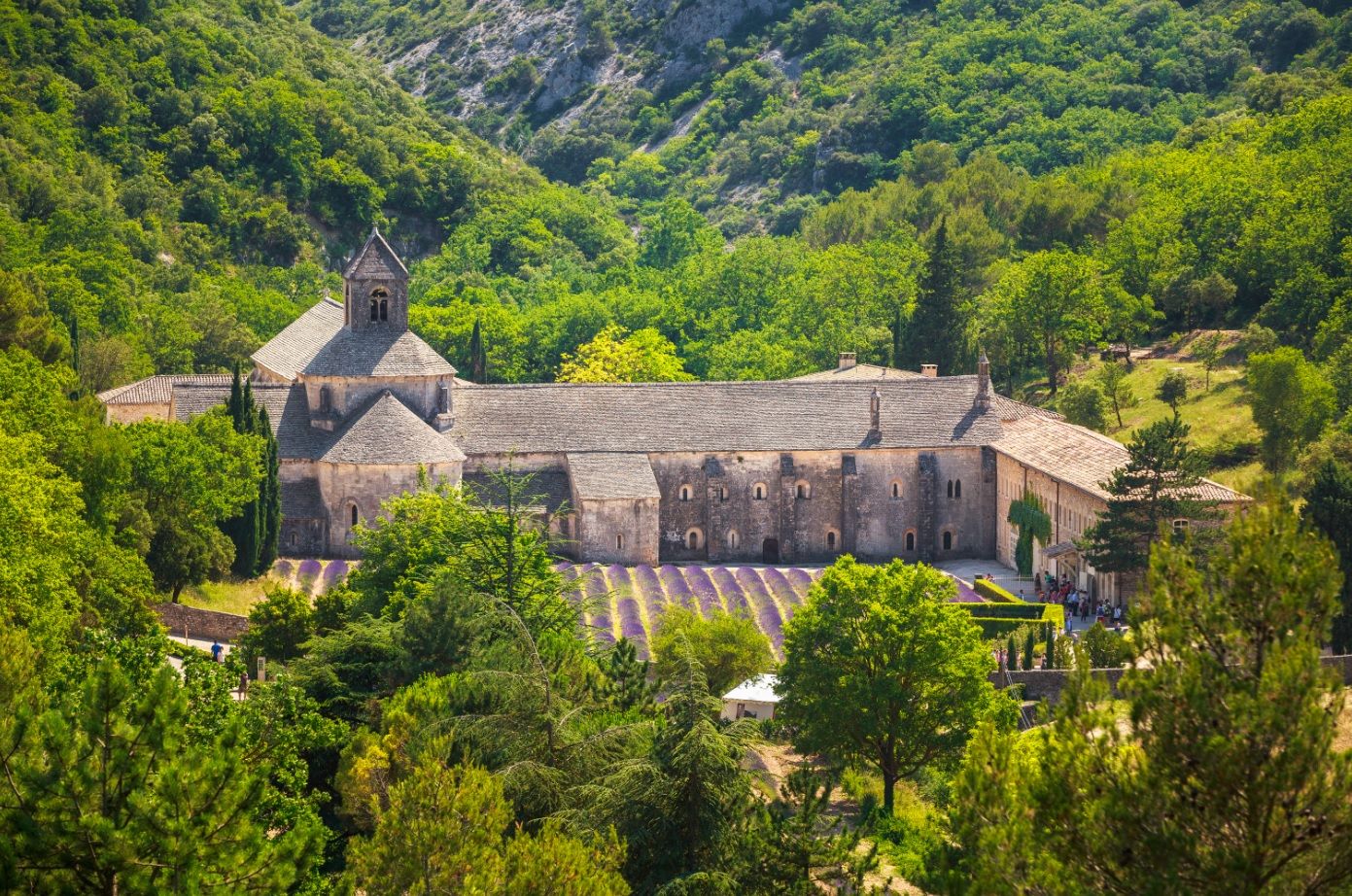 Abbaye de Senanque - France