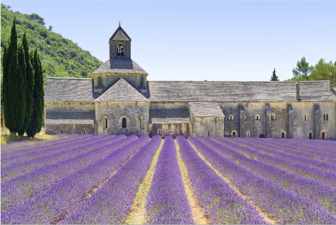Abbey de Senanque, Gordes, Luberon - France ©thinkstock