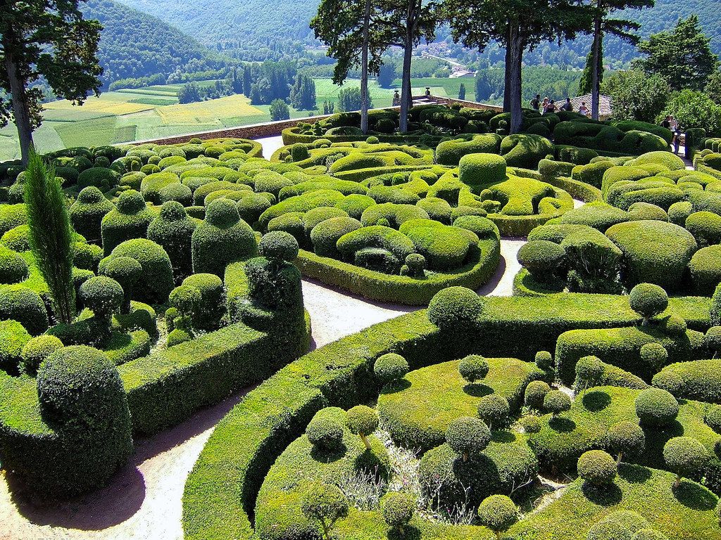 Buis au château de Marqueyssac