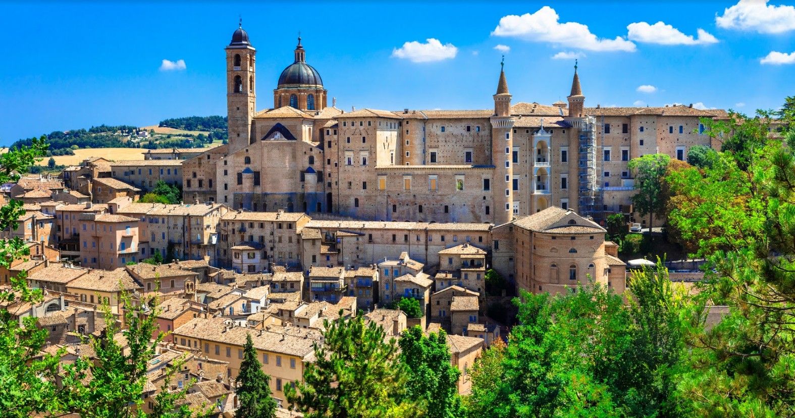 Urbino