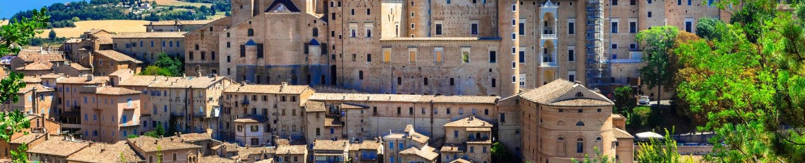 Urbino