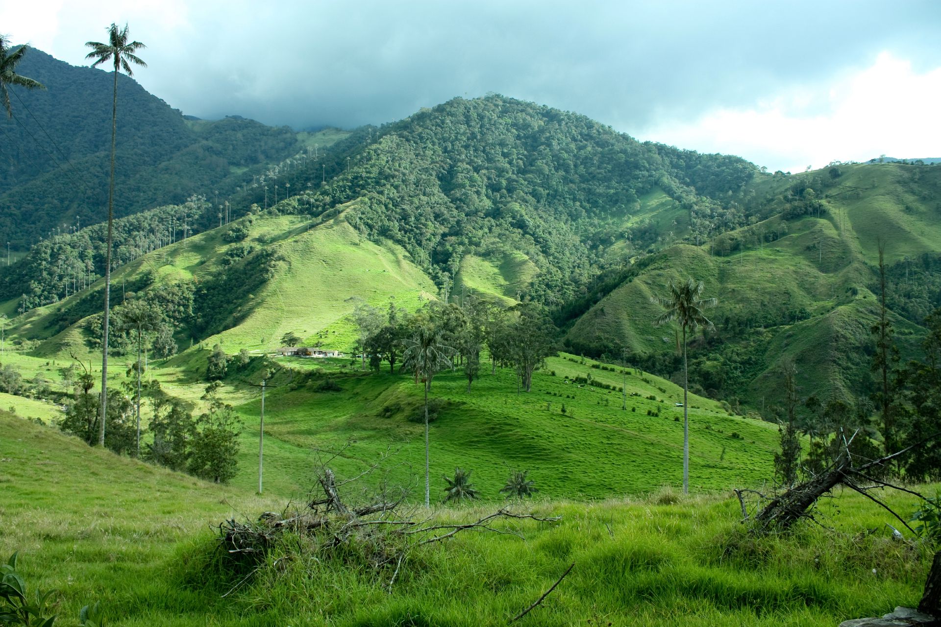 Vallée de Cocora - Colombie ©iStock