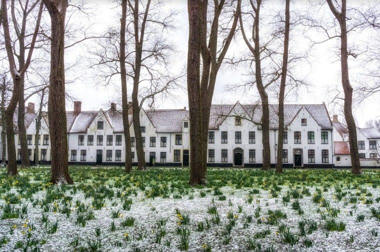 Béguinage de Bruges en hiver