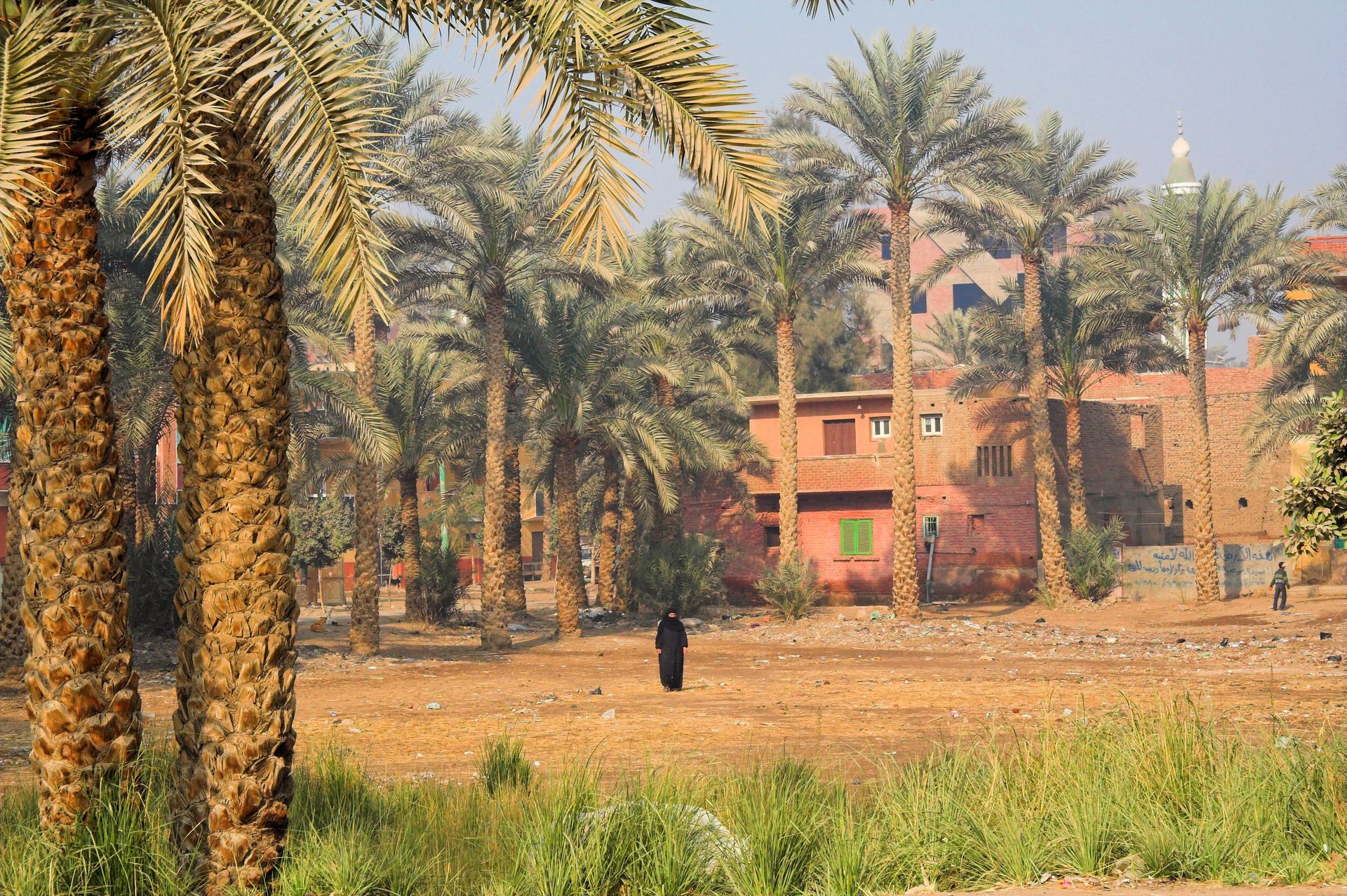 palmeraie de Bawati