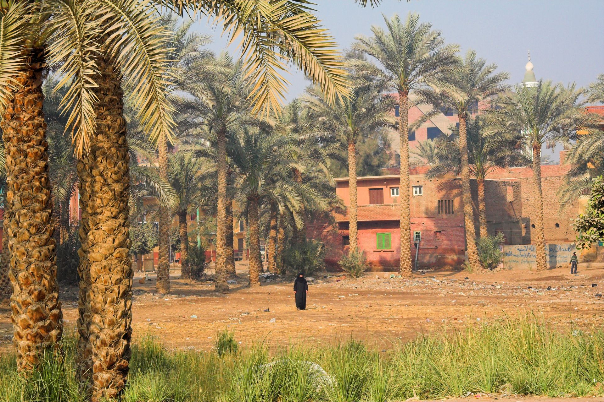palmeraie de Bawati