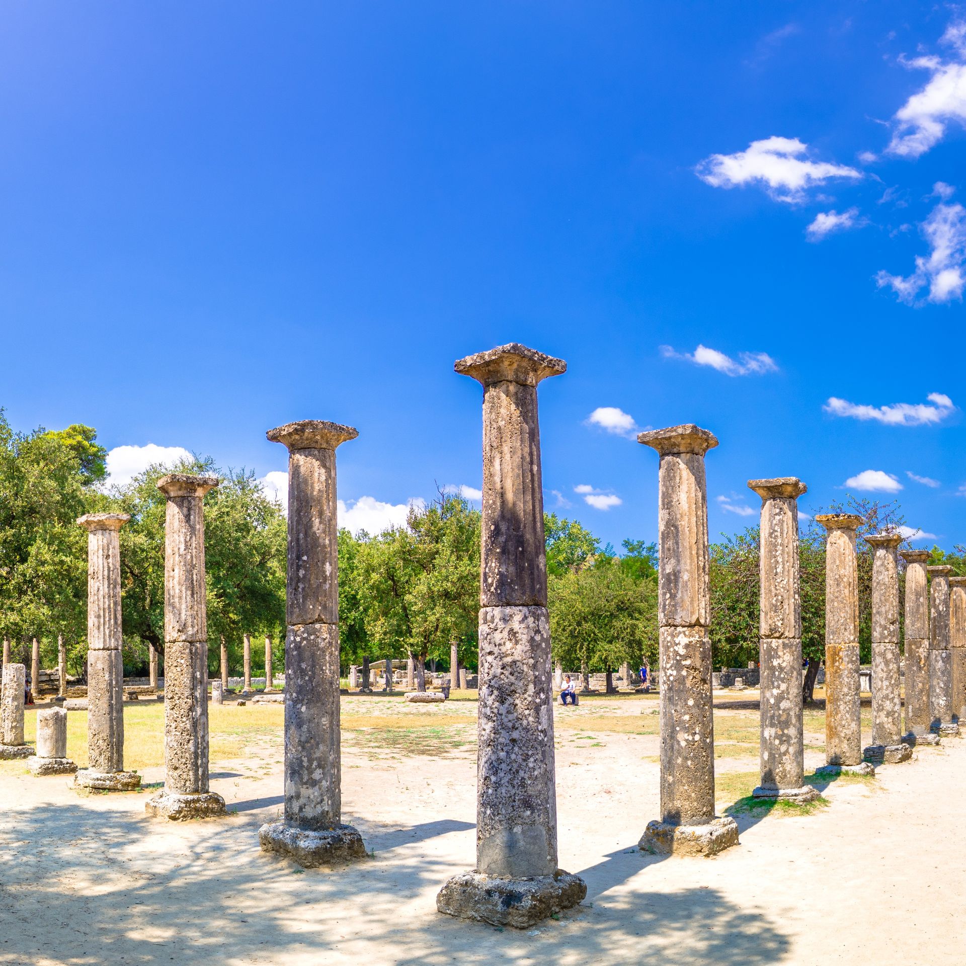 Olympie 