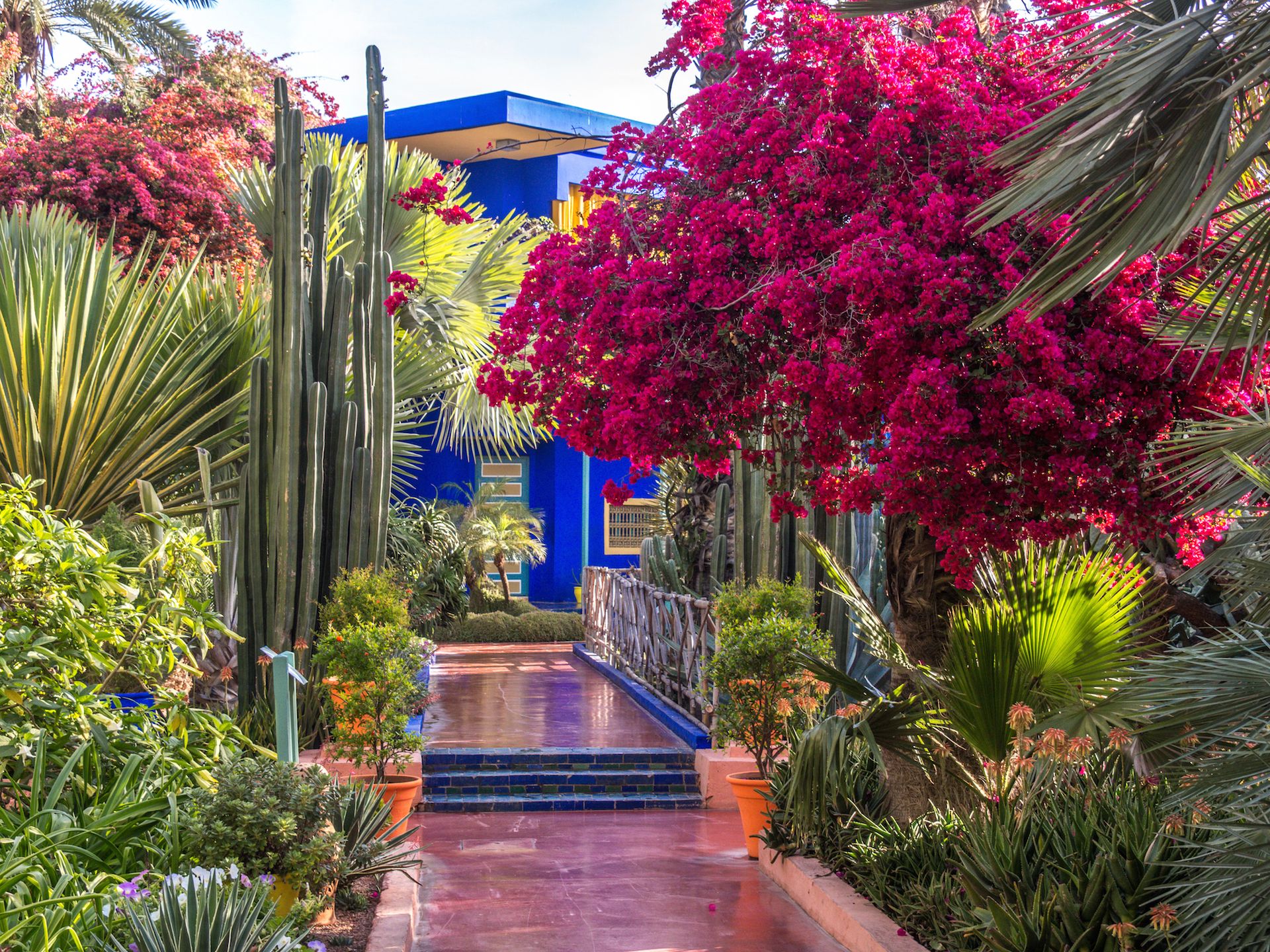 Jardin Majorelle, Marrakech - Maroc ©iStock
