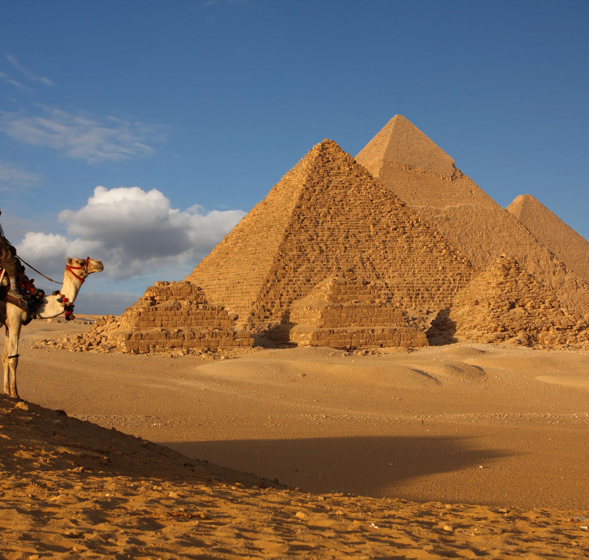 Bédouins en chameau près des pyramides - Égypte