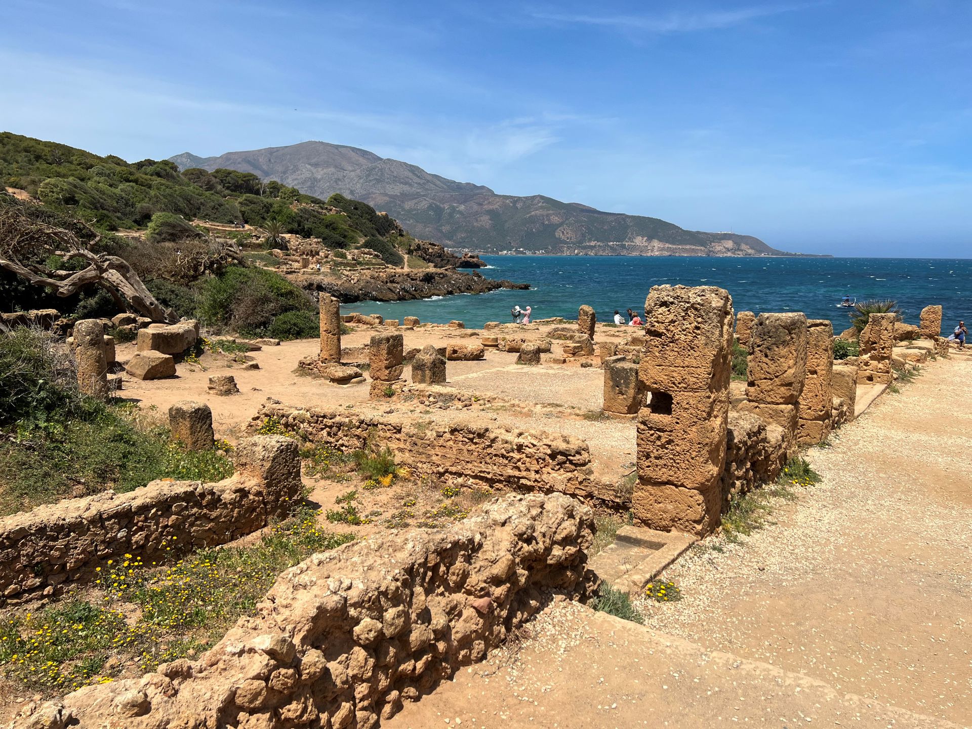 Tipaza