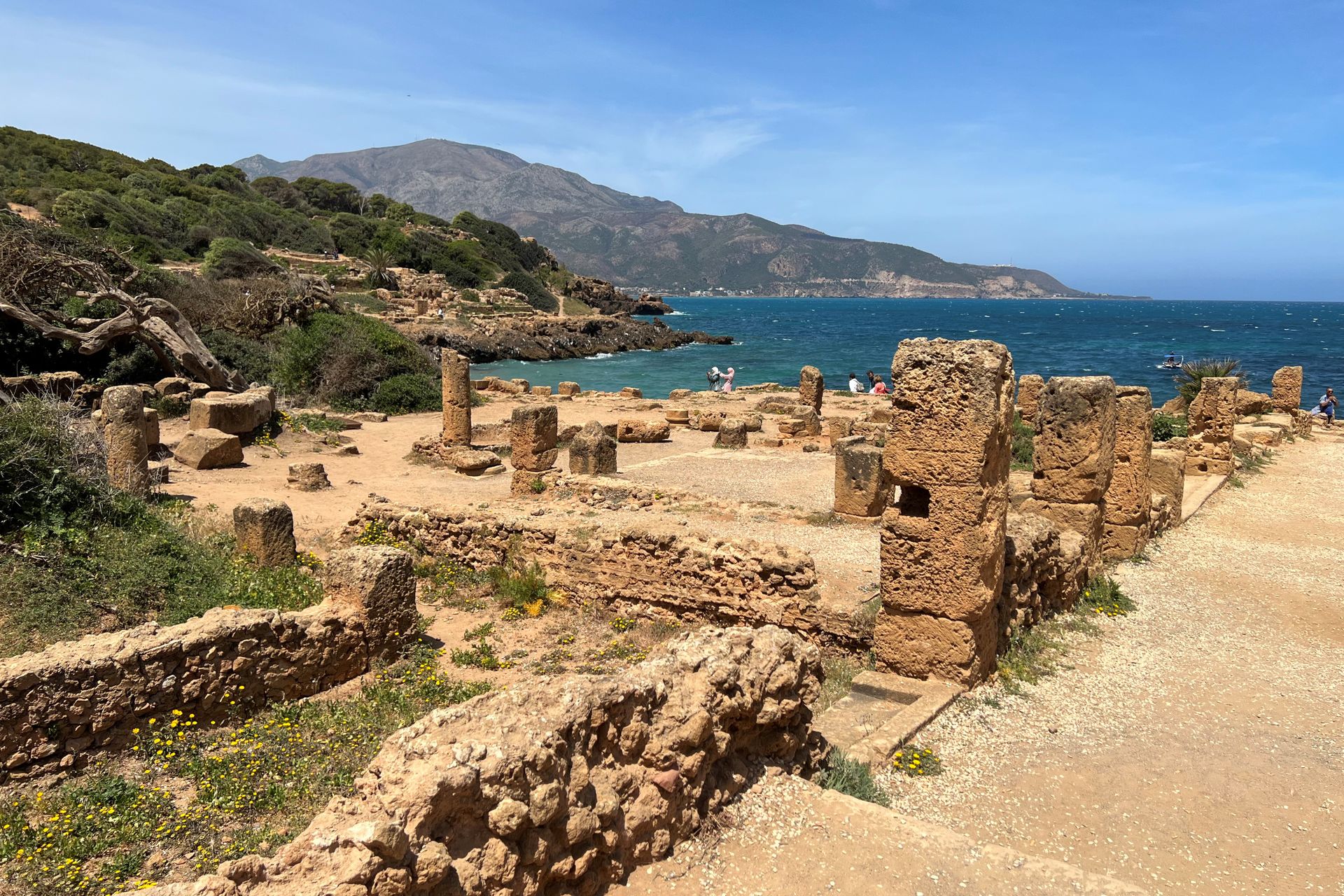 Tipaza