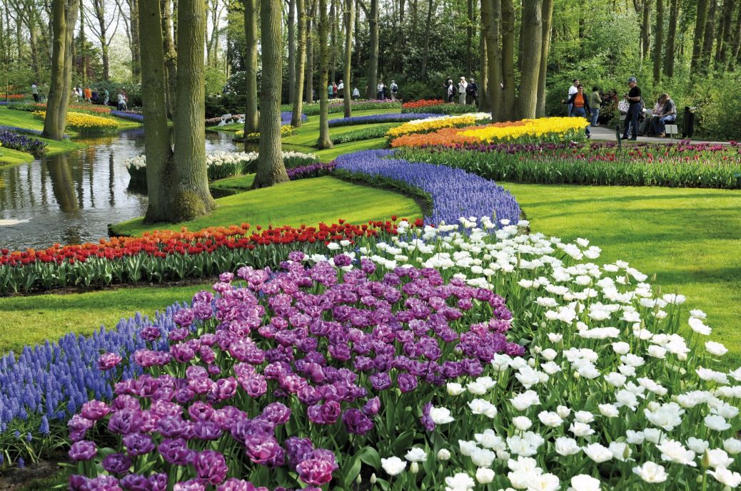 Parc floral de Keukenhof - Pays-Bas ©NBTC Holland Marketing