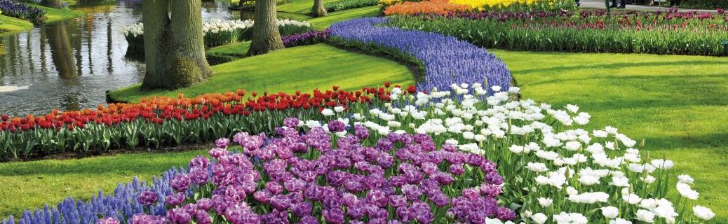 Parc floral de Keukenhof - Pays-Bas ©NBTC Holland Marketing