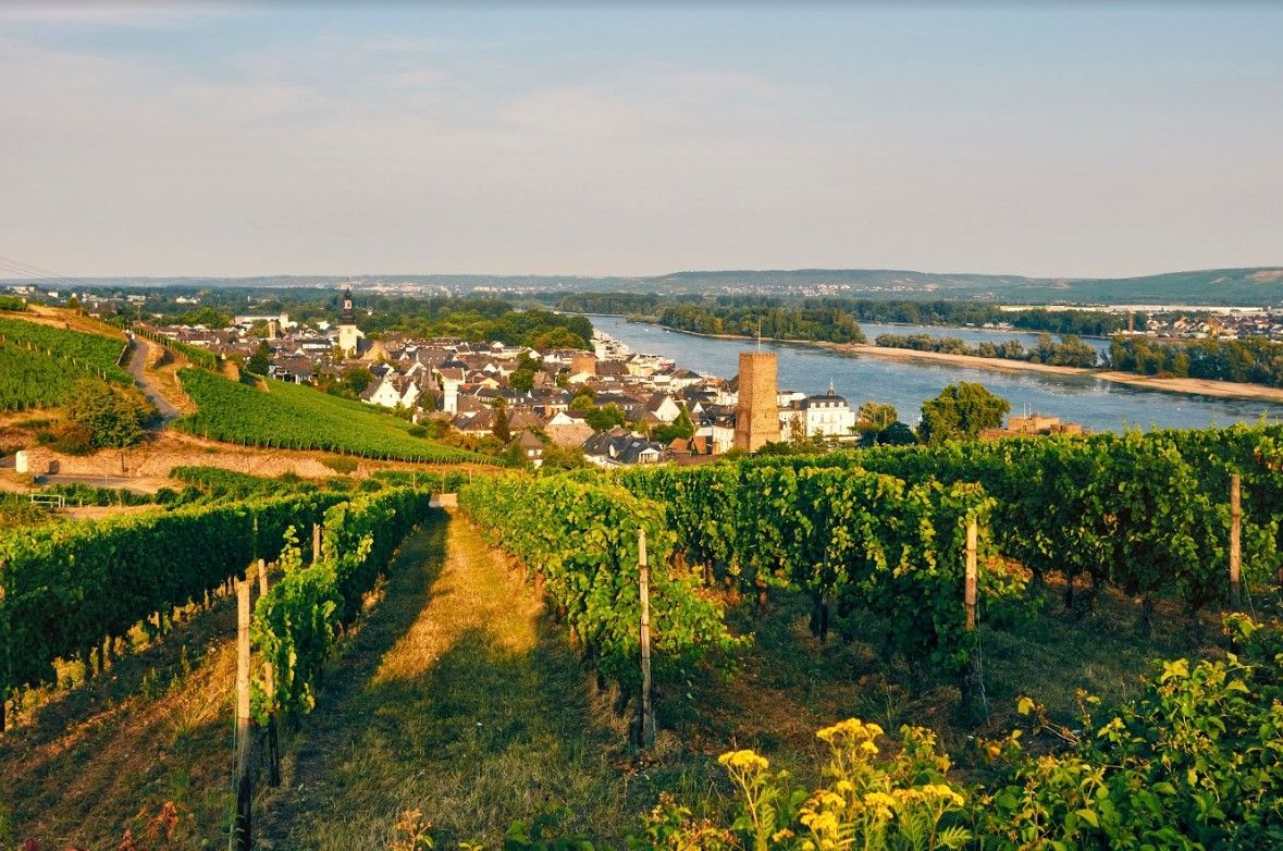 Rudesheim, vallée du Rhin ©Istock