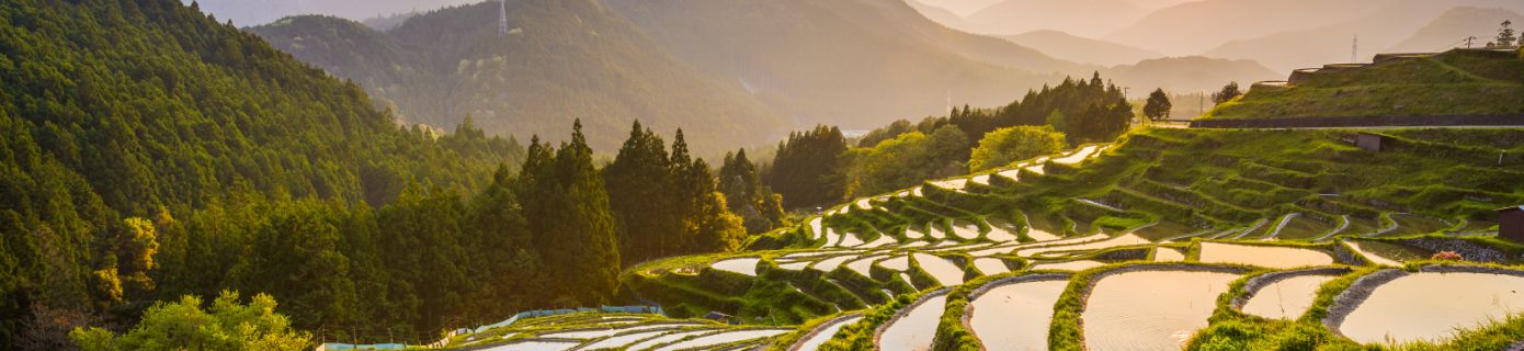 Les rizières en terrasse de Kumano - Japon