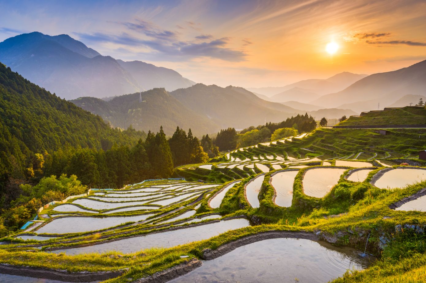 Les rizières en terrasse de Kumano - Japon