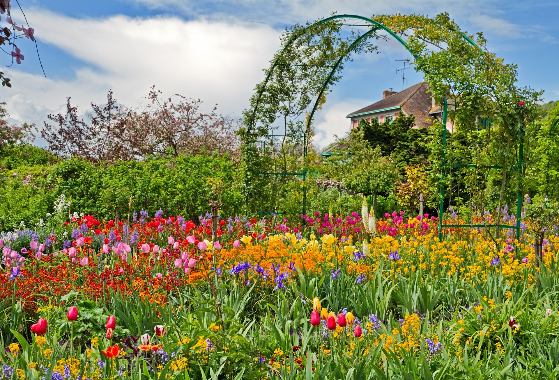 jardin à Giverny