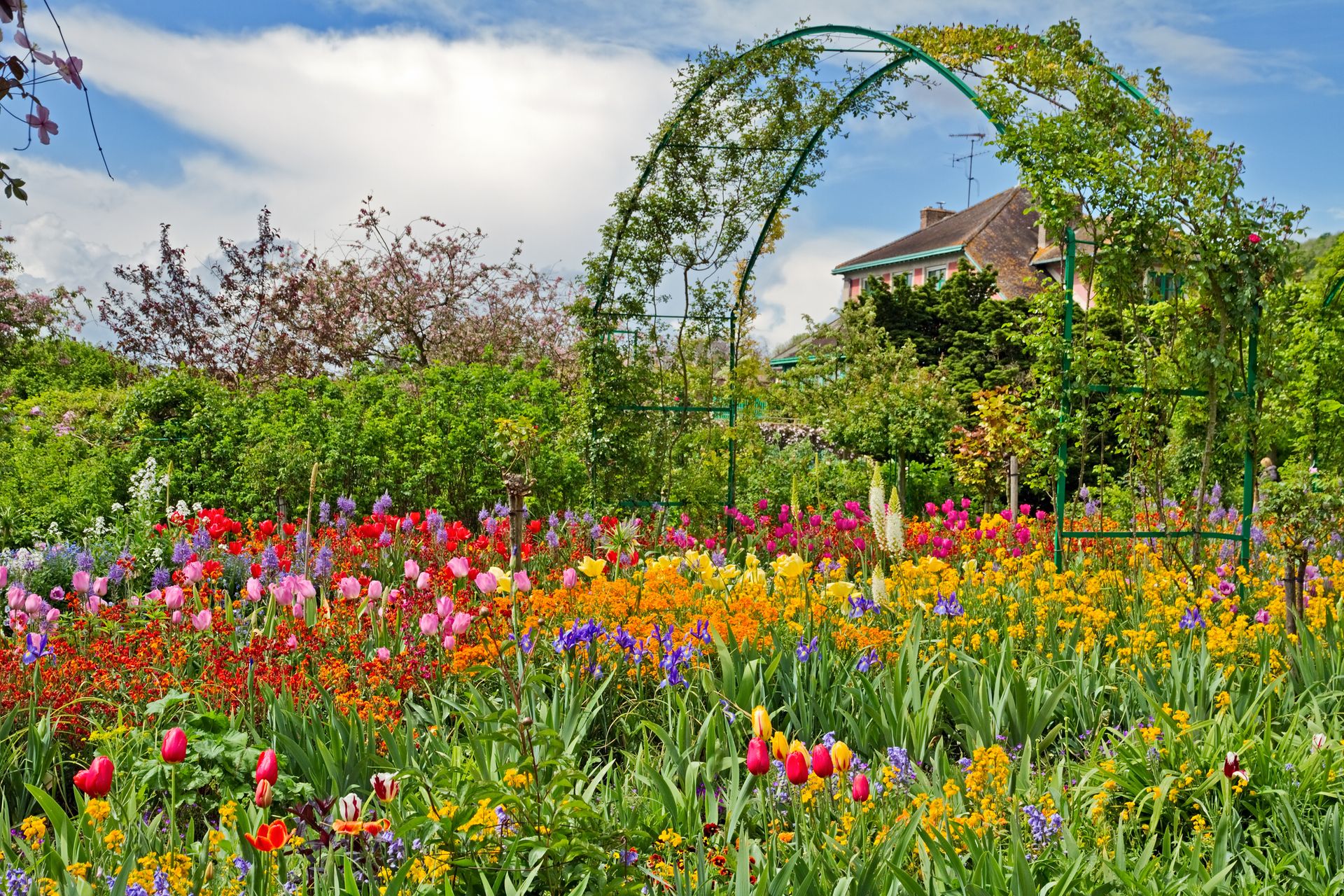 jardin à Giverny