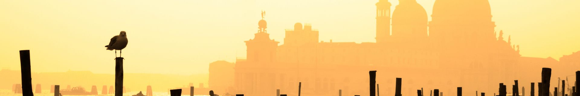 Les gondoles de Venise