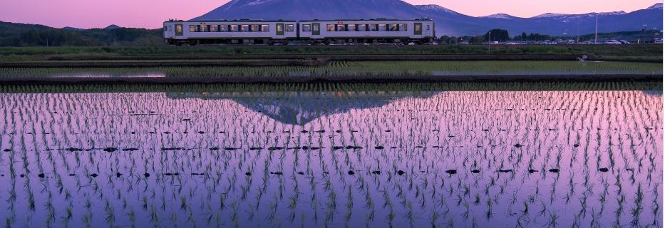 Train local, rizières et Mont Iwate
