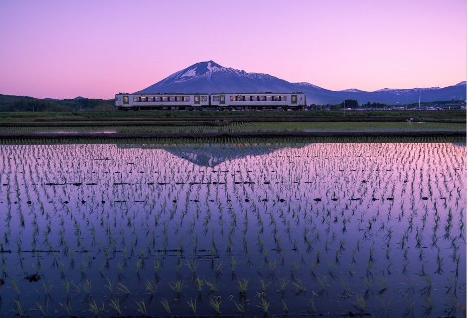 Train local, rizières et Mont Iwate